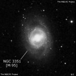 NGC 3351