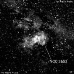 NGC 3603