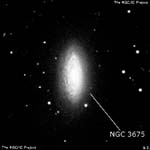 NGC 3675