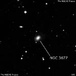 NGC 3677