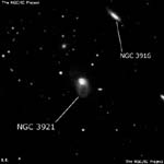 NGC 3921