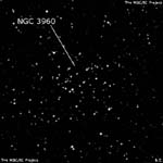 NGC 3960