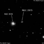NGC 3975