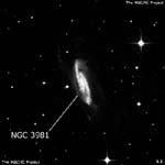 NGC 3981