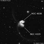 NGC 4038