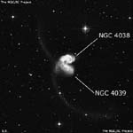 NGC 4039