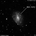 NGC 4242