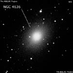 NGC 4636