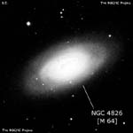 NGC 4826