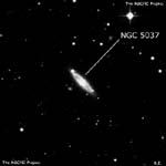 NGC 5037