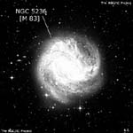 NGC 5236