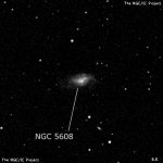 NGC 5608