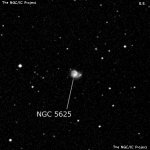 NGC 5625