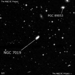 NGC 7019