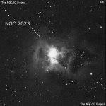 NGC 7023