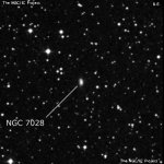 NGC 7028
