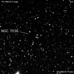 NGC 7036