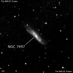 NGC 7497