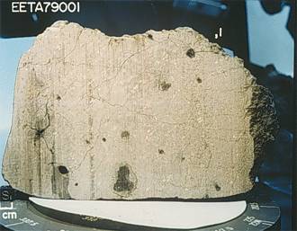 Meteorit EETA 79001