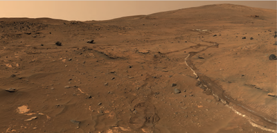 Home Plate