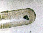 Snímek