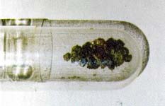 Meteorit Zagami