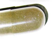 Meteorit Zagami