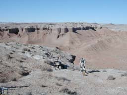 Mars Desert Research Station, 2. posádka